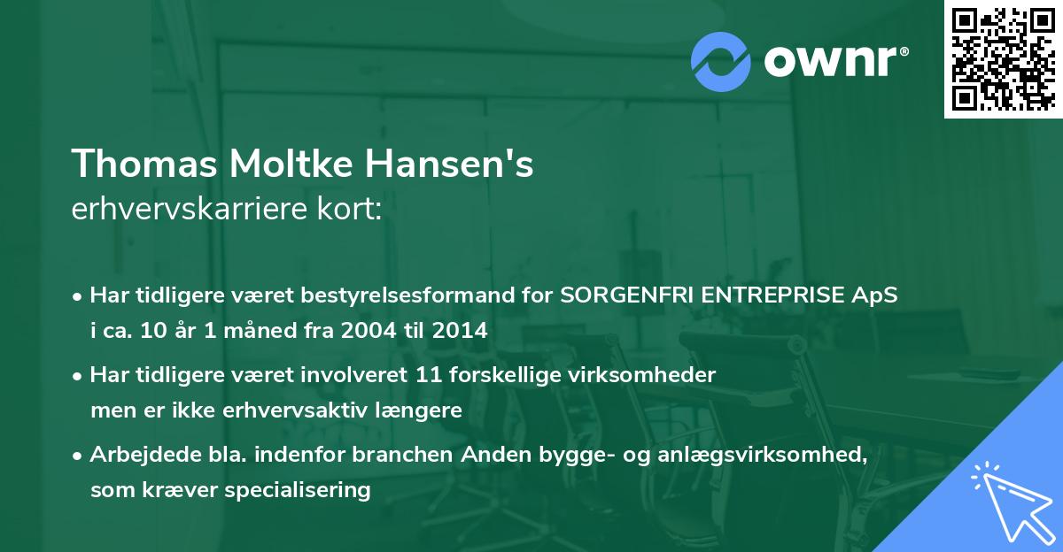 Thomas Moltke Hansen's erhvervskarriere kort