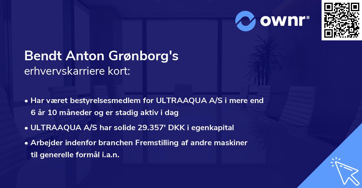 Bendt Anton Grønborg's erhvervskarriere kort