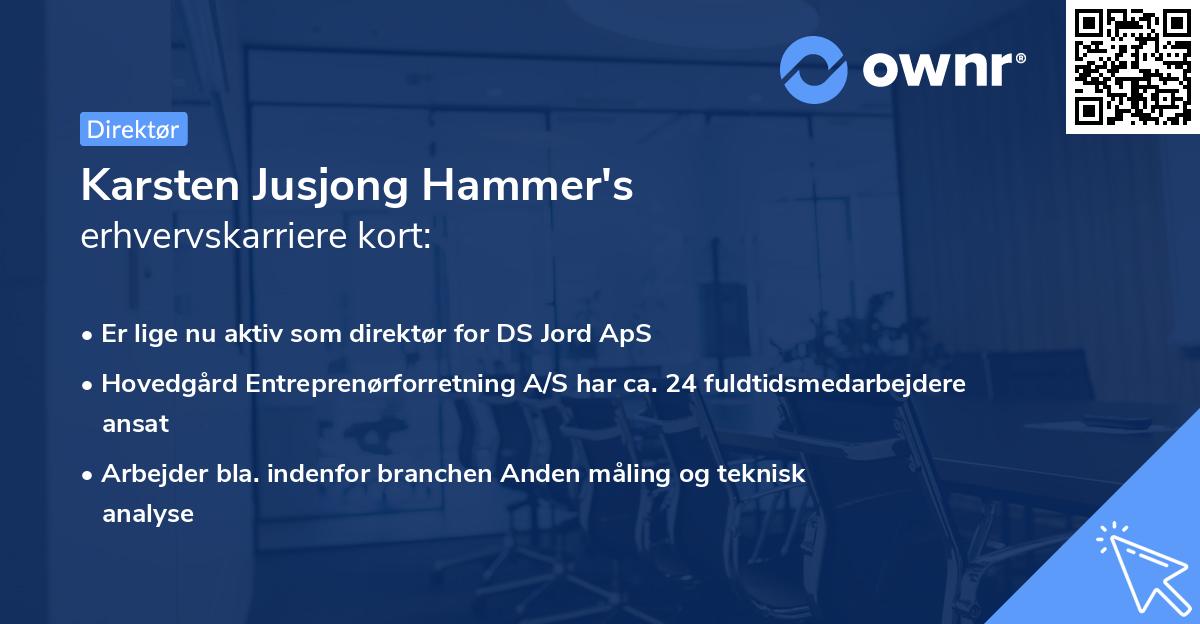 Karsten Jusjong Hammer's erhvervskarriere kort