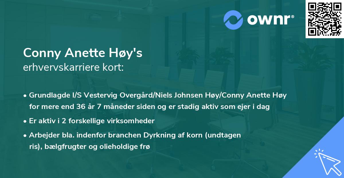 Conny Anette Høy's erhvervskarriere kort