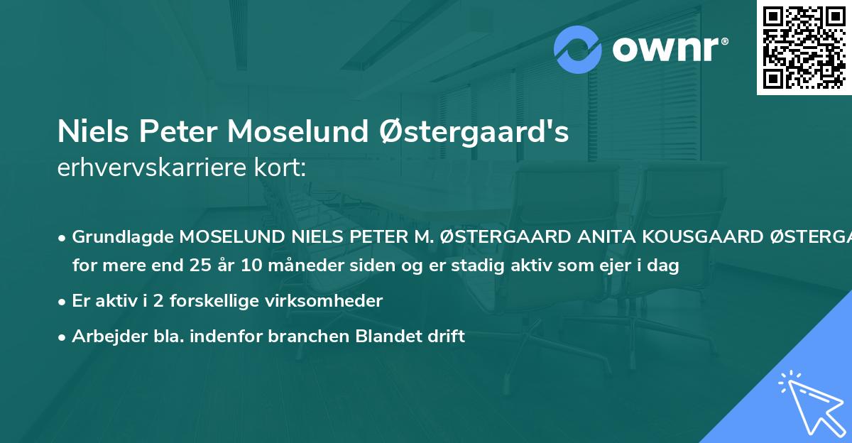 Niels Peter Moselund Østergaard's erhvervskarriere kort