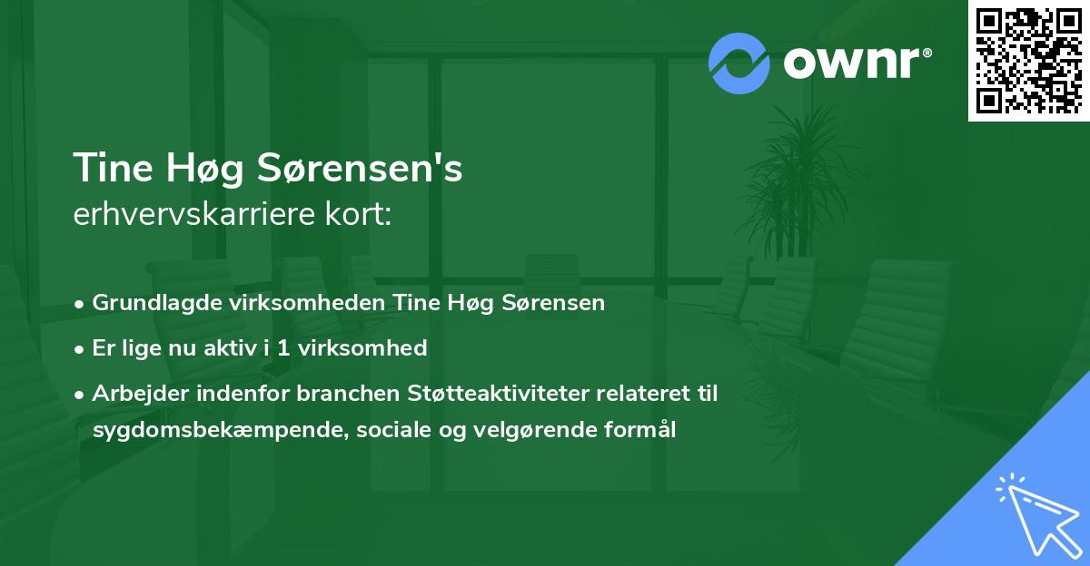 Tine Høg Sørensen's erhvervskarriere kort