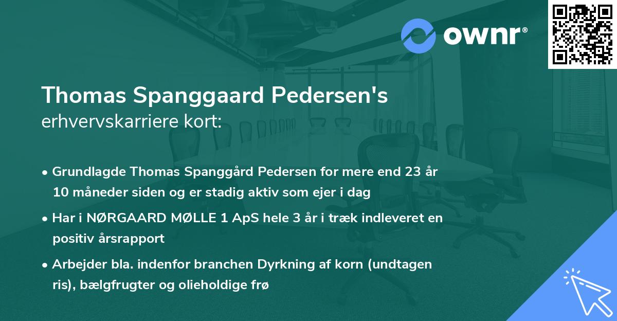 Thomas Spanggaard Pedersen's erhvervskarriere kort