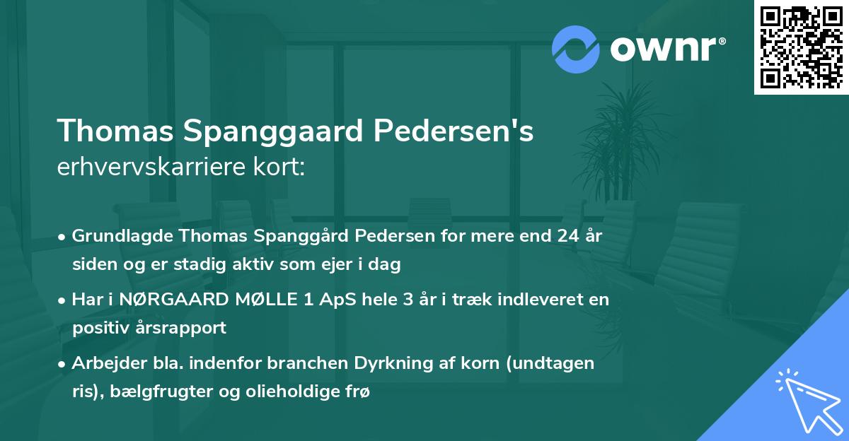 Thomas Spanggaard Pedersen's erhvervskarriere kort