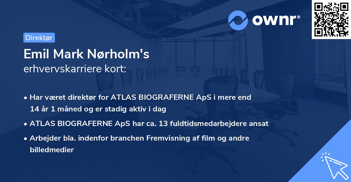 Emil Mark Nørholm's erhvervskarriere kort