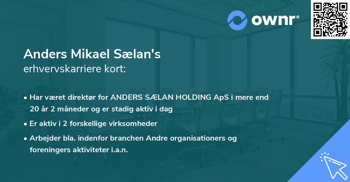 Anders Mikael Sælan's erhvervskarriere kort