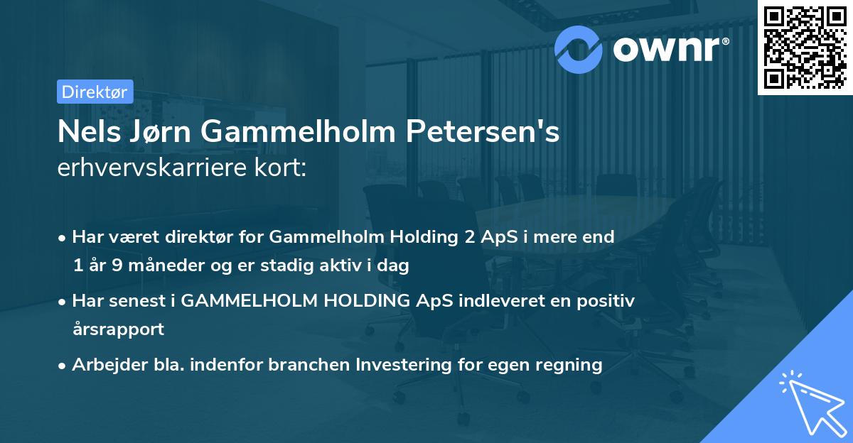 Nels Jørn Gammelholm Petersen's erhvervskarriere kort