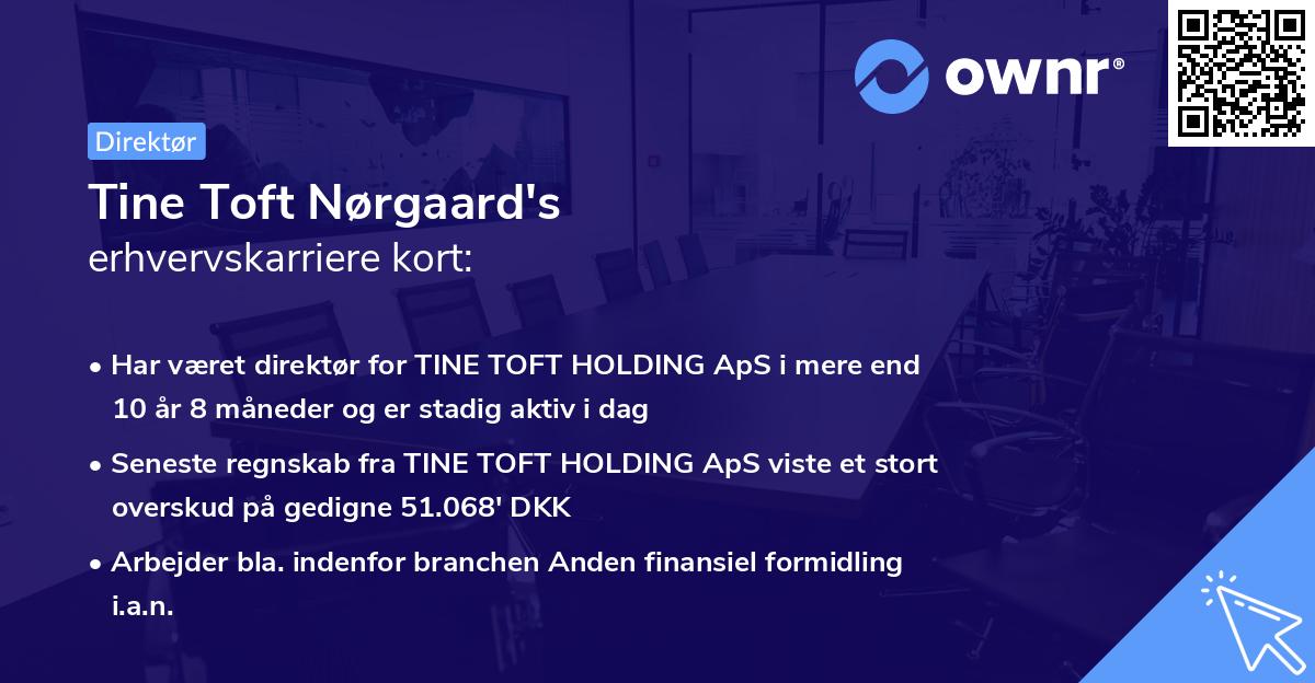 Tine Toft Nørgaard's erhvervskarriere kort