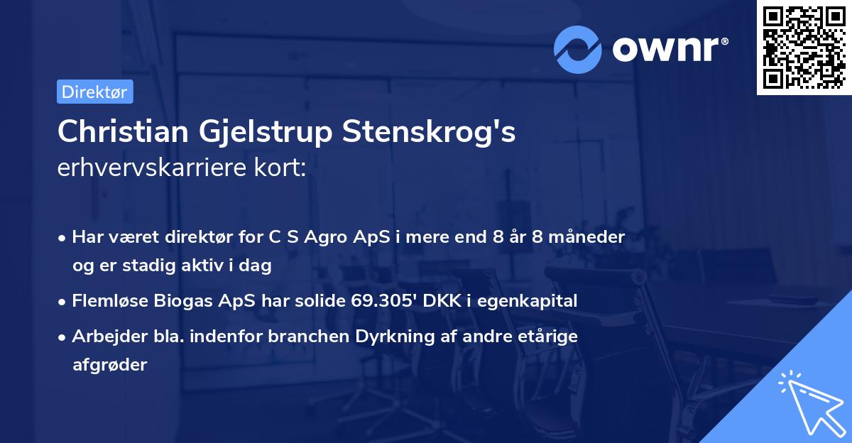 Christian Gjelstrup Stenskrog's erhvervskarriere kort