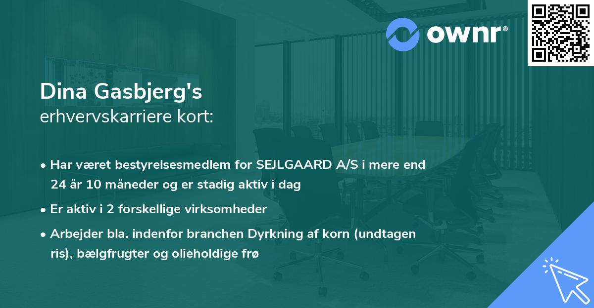 Dina Gasbjerg's erhvervskarriere kort