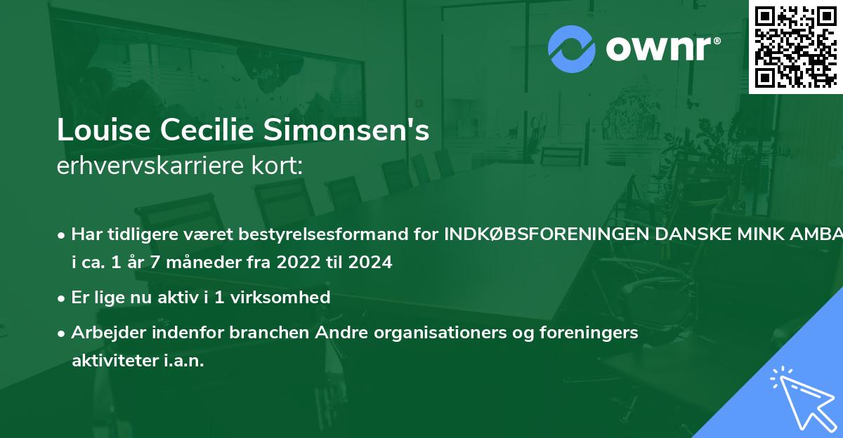 Louise Cecilie Simonsen's erhvervskarriere kort