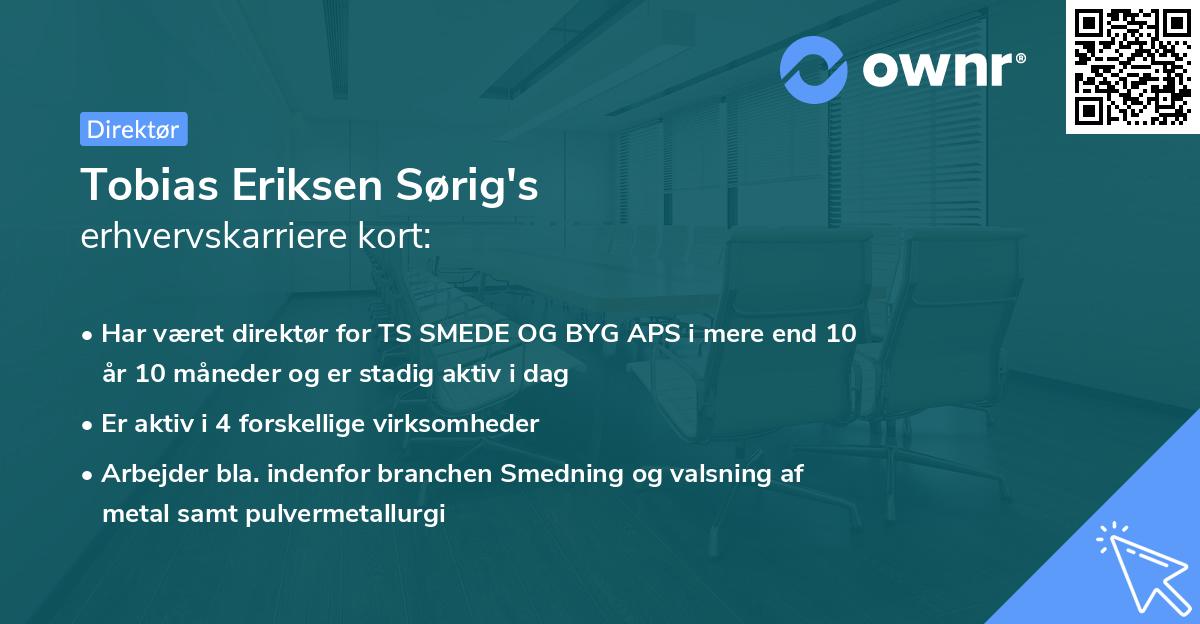 Tobias Eriksen Sørig's erhvervskarriere kort