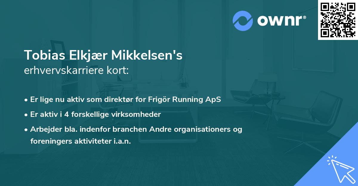 Tobias Elkjær Mikkelsen's erhvervskarriere kort