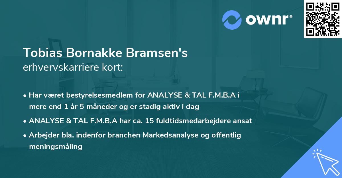 Tobias Bornakke Bramsen's erhvervskarriere kort