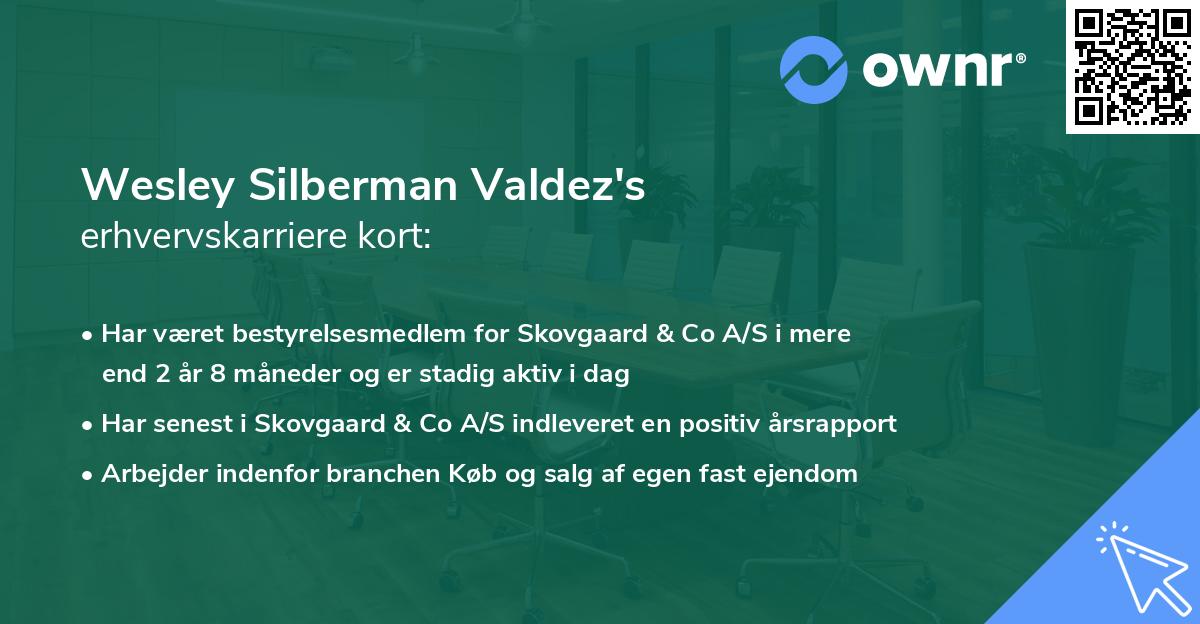 Wesley Silberman Valdez's erhvervskarriere kort