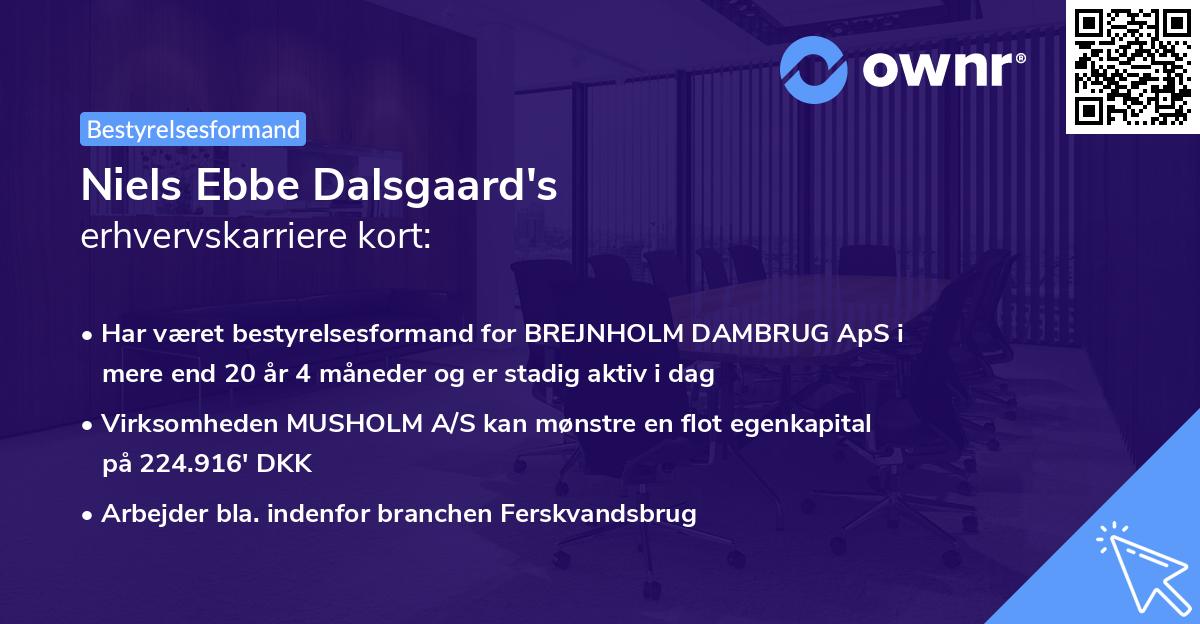 Niels Ebbe Dalsgaard's erhvervskarriere kort