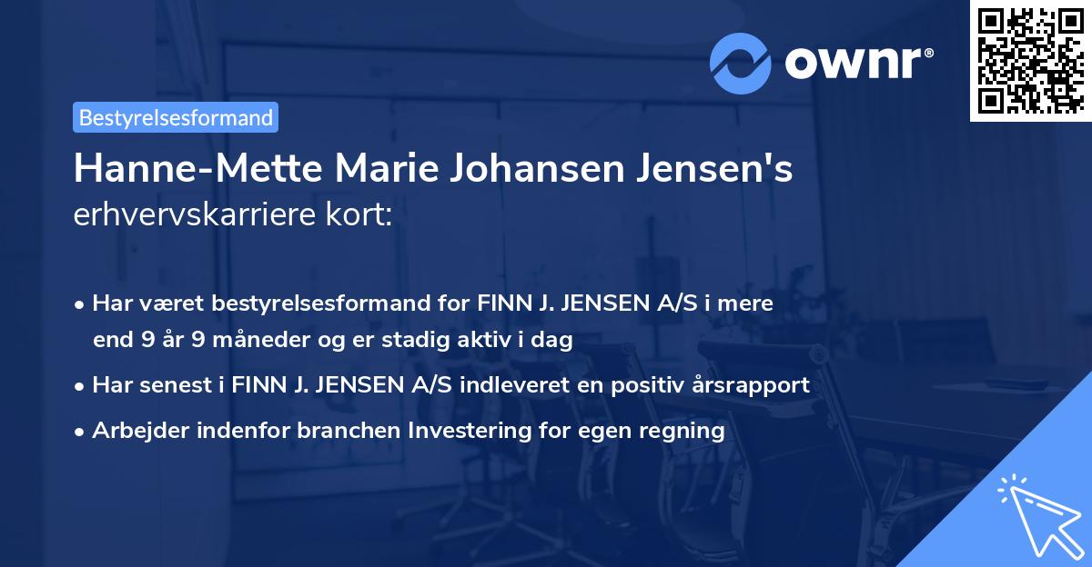 Hanne-Mette Marie Johansen Jensen's erhvervskarriere kort