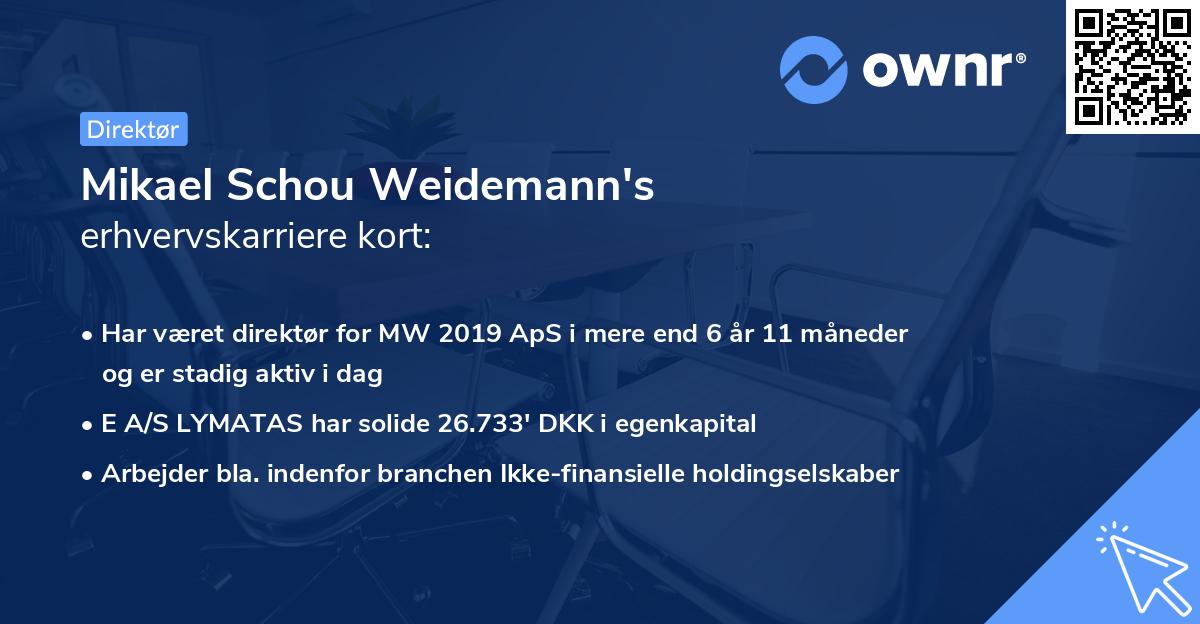 Mikael Schou Weidemann's erhvervskarriere kort