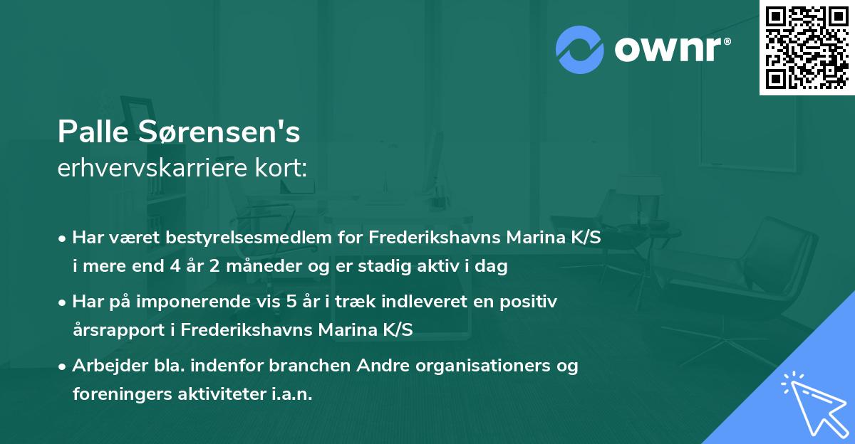 Palle Sørensen's erhvervskarriere kort