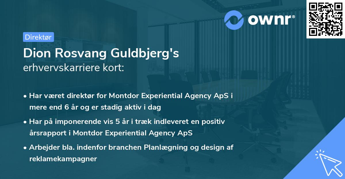 Dion Rosvang Guldbjerg's erhvervskarriere kort