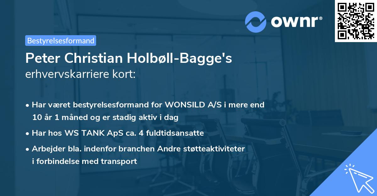 Peter Christian Holbøll-Bagge's erhvervskarriere kort