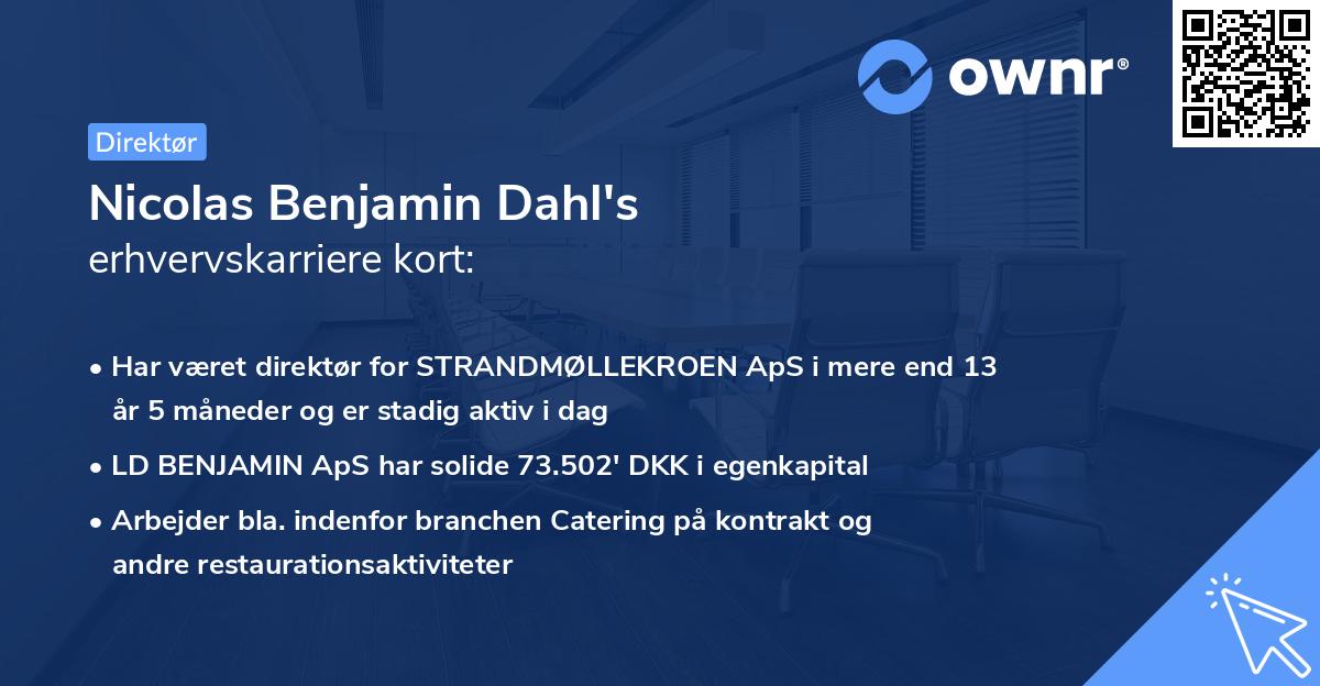 Nicolas Benjamin Dahl's erhvervskarriere kort