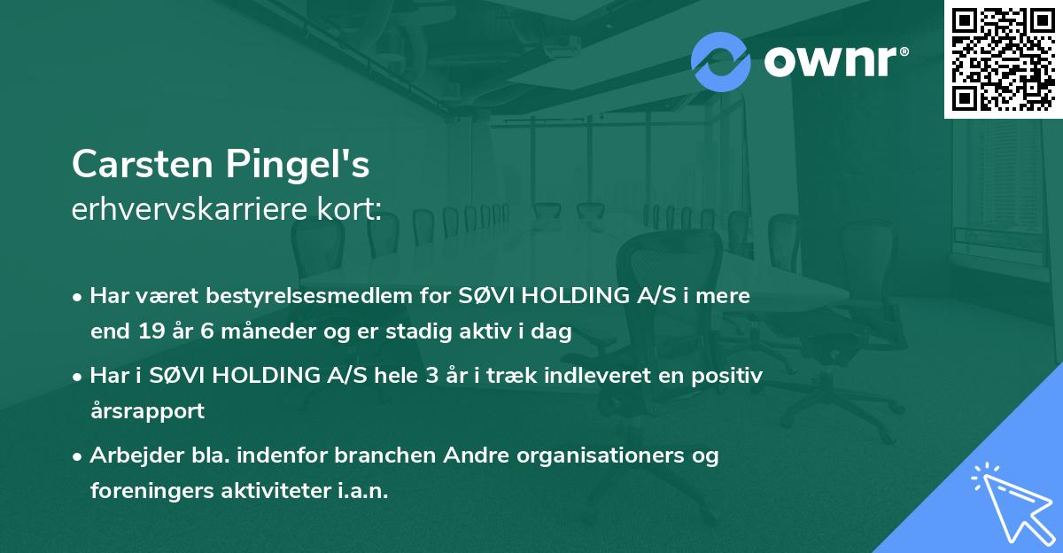 Carsten Pingel's erhvervskarriere kort
