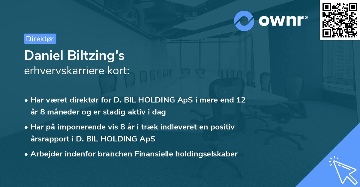 Daniel Biltzing's erhvervskarriere kort