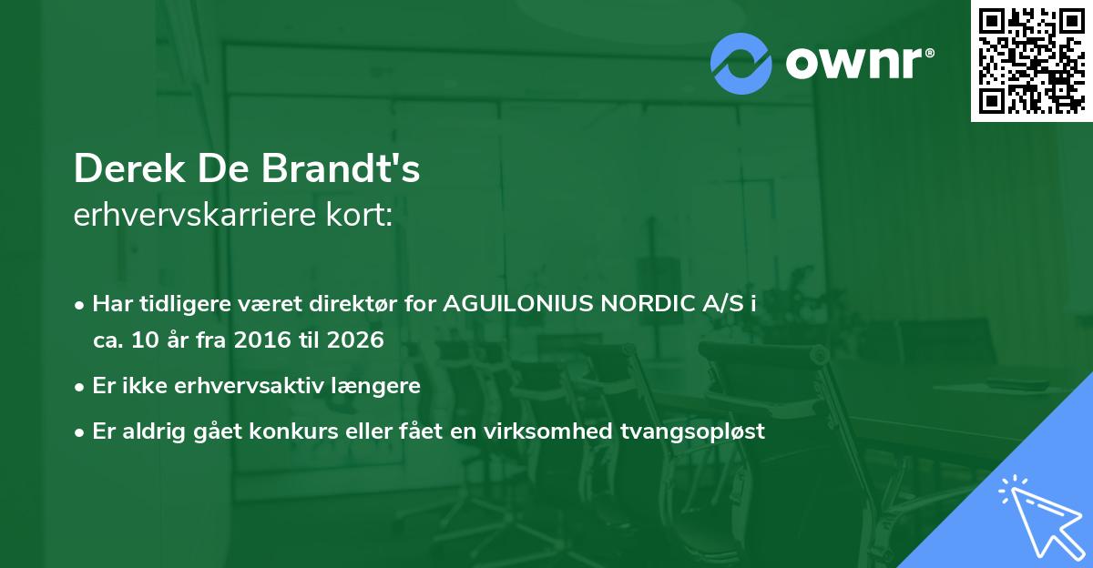 Derek De Brandt's erhvervskarriere kort