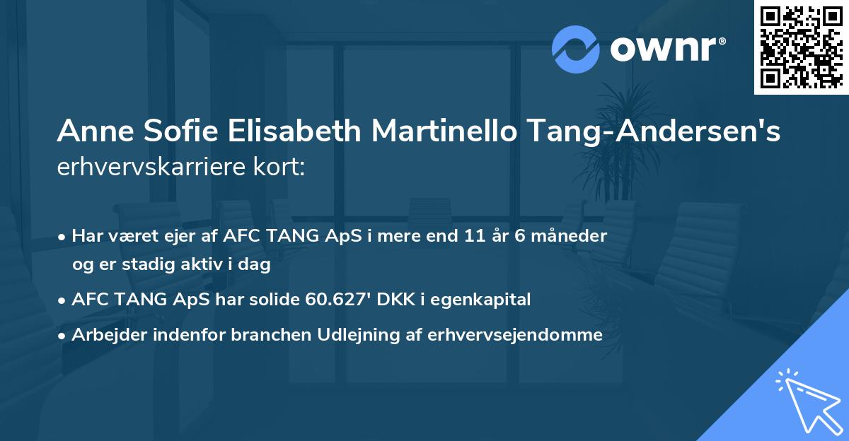 Anne Sofie Elisabeth Martinello Tang-Andersen's erhvervskarriere kort