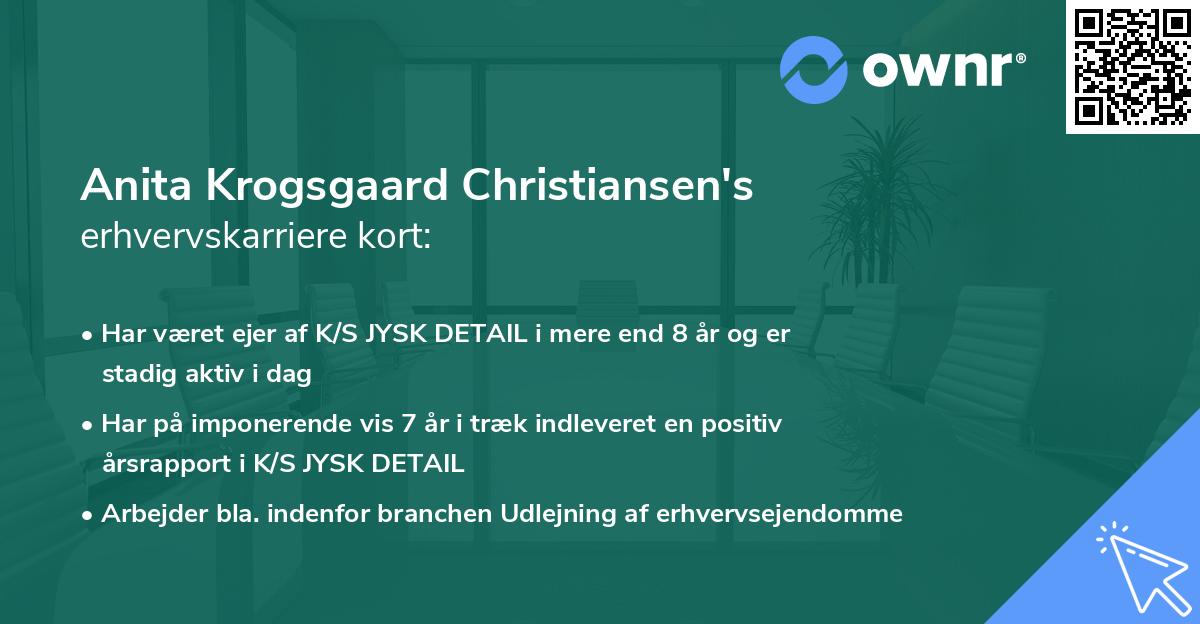 Anita Krogsgaard Christiansen's erhvervskarriere kort