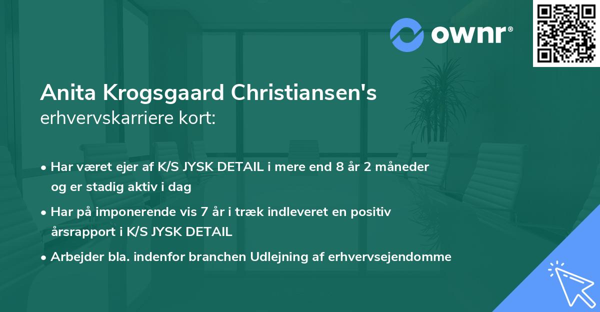 Anita Krogsgaard Christiansen's erhvervskarriere kort