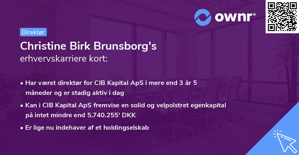 Christine Birk Brunsborg's erhvervskarriere kort