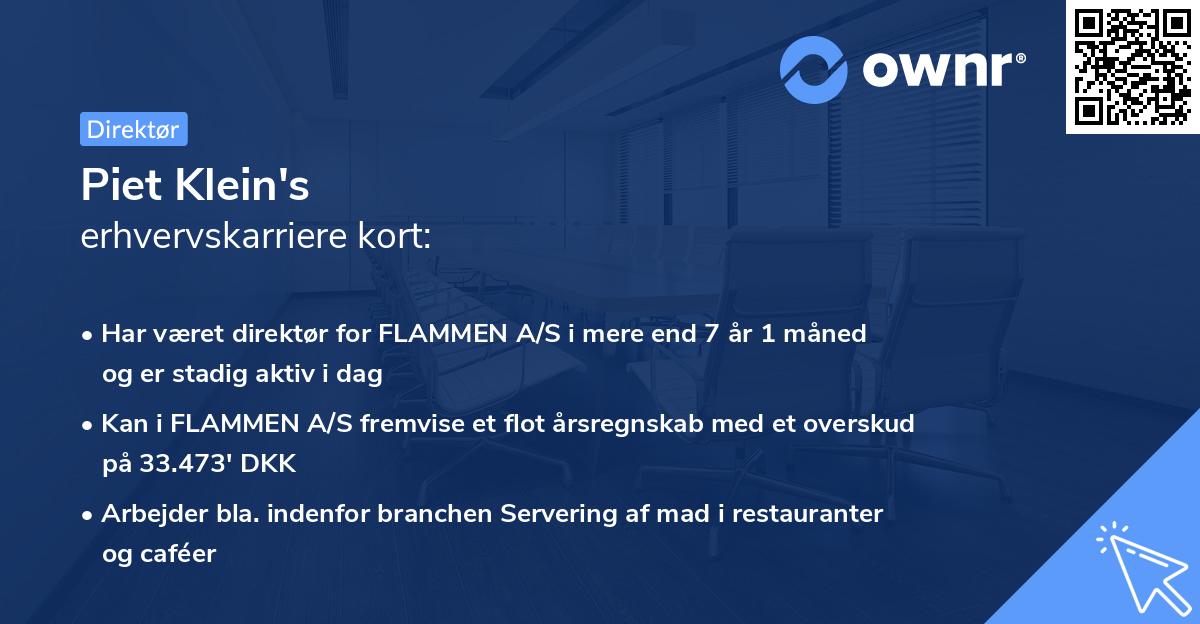Piet Klein's erhvervskarriere kort