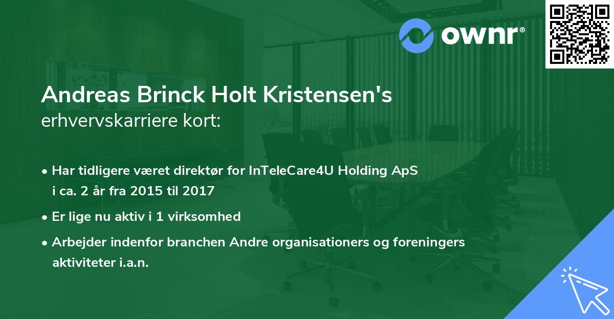 Andreas Brinck Holt Kristensen's erhvervskarriere kort