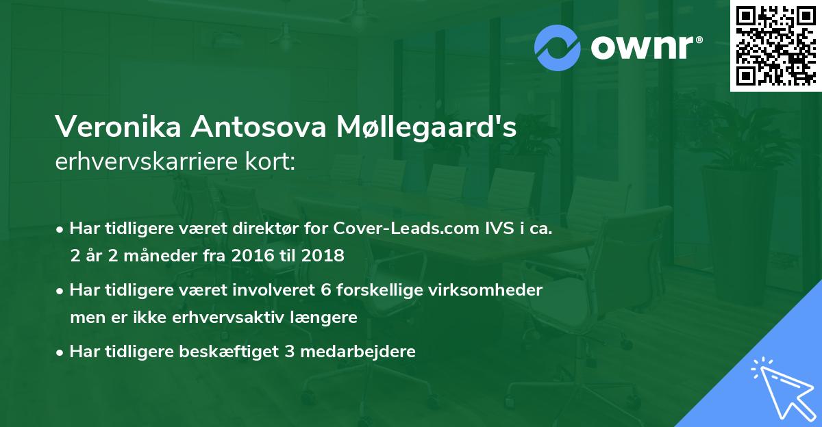 Veronika Antosova Møllegaard's erhvervskarriere kort