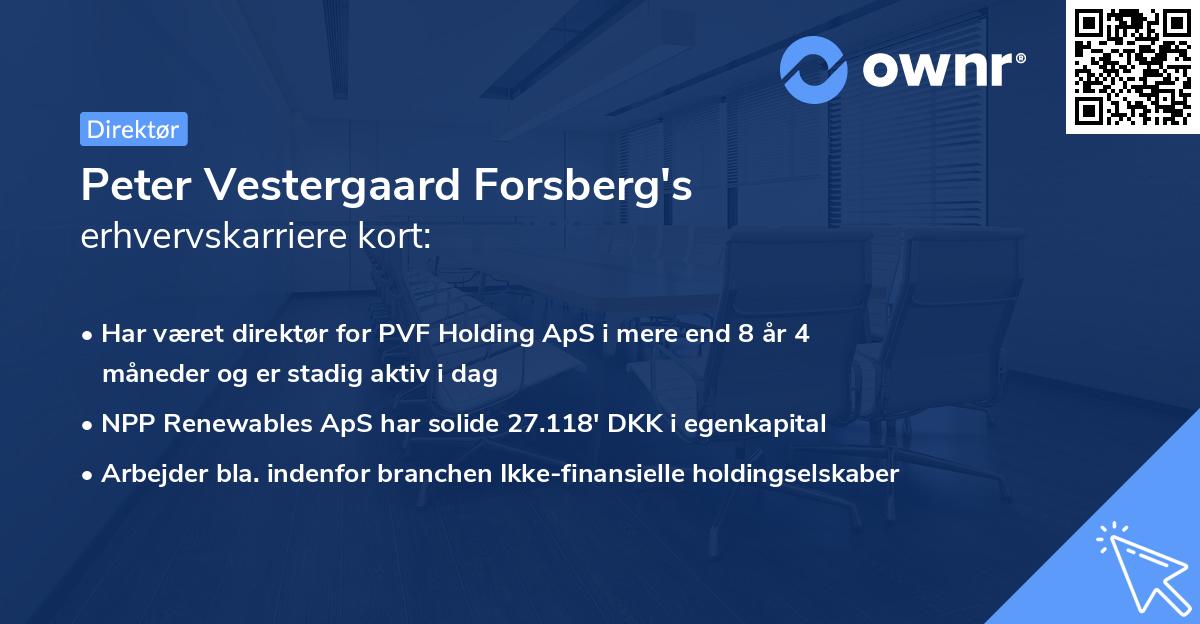 Peter Vestergaard Forsberg's erhvervskarriere kort