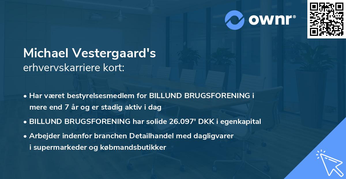 Michael Vestergaard's erhvervskarriere kort