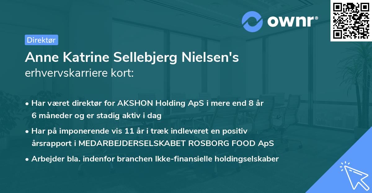 Anne Katrine Sellebjerg Nielsen's erhvervskarriere kort