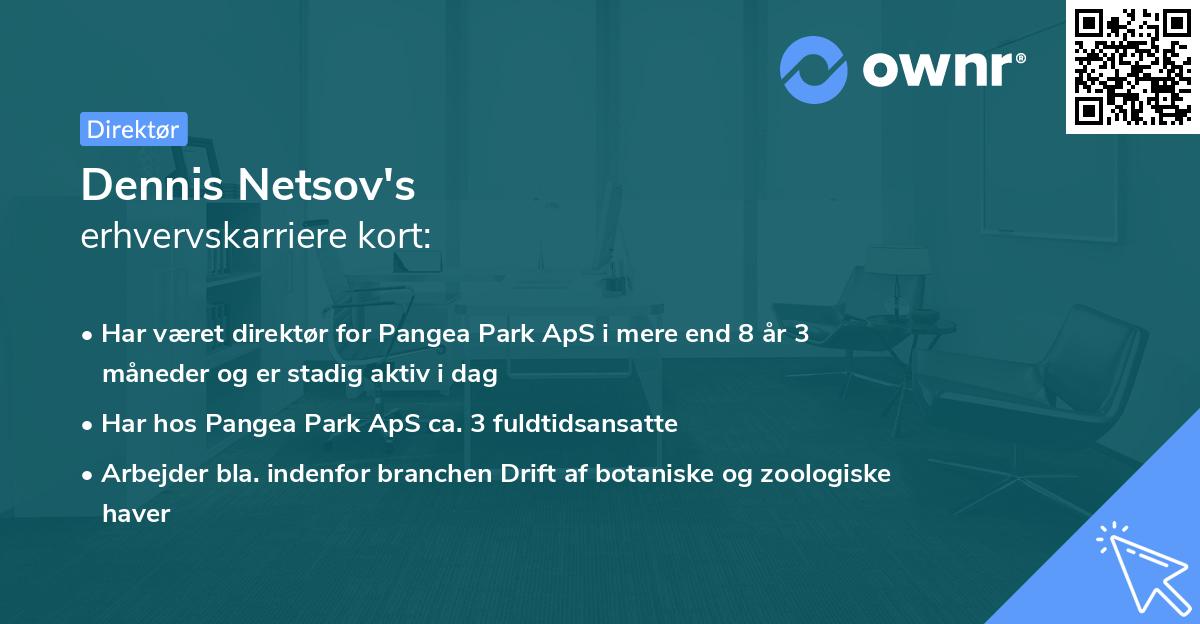Dennis Netsov's erhvervskarriere kort