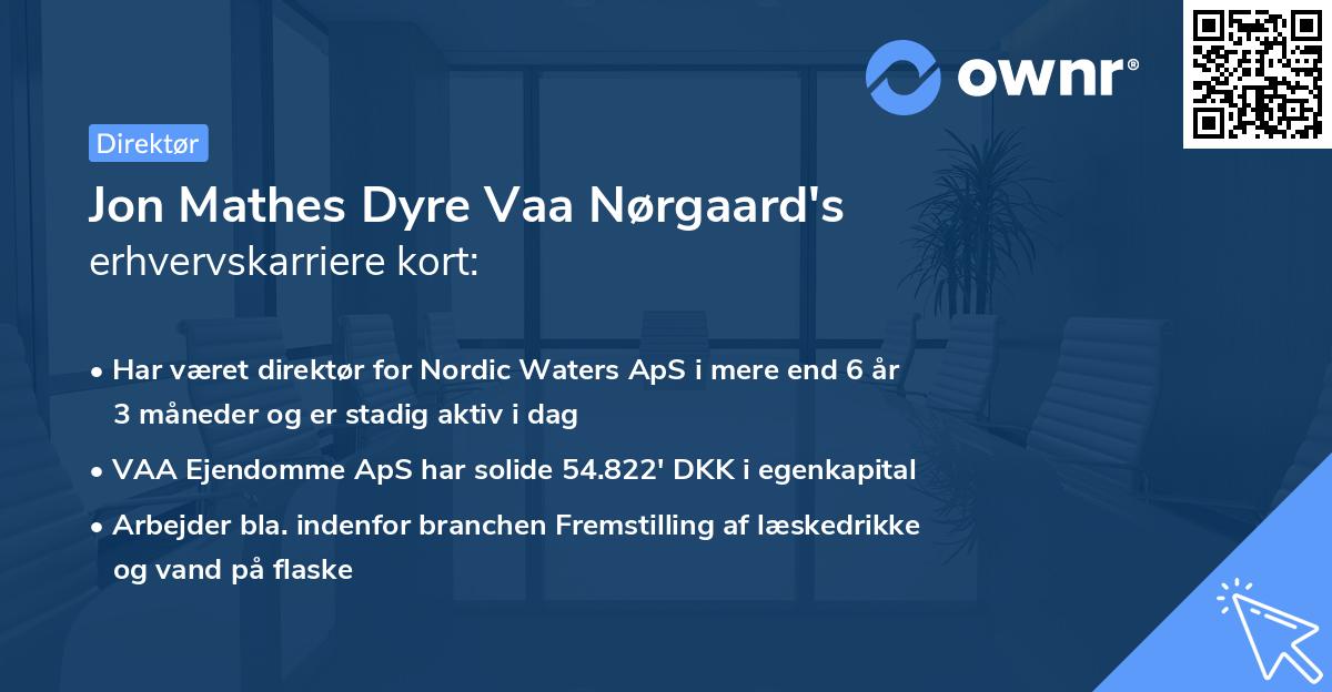 Jon Mathes Dyre Vaa Nørgaard's erhvervskarriere kort