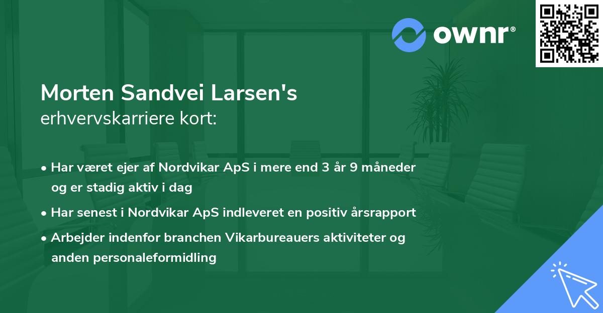 Morten Sandvei Larsen's erhvervskarriere kort