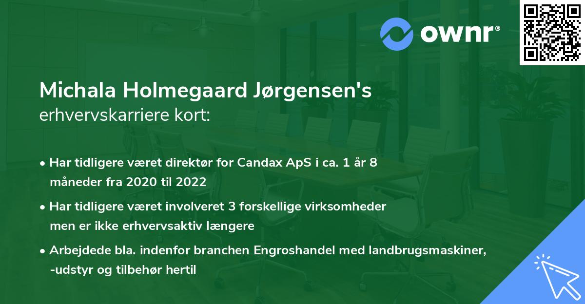 Michala Holmegaard Jørgensen's erhvervskarriere kort