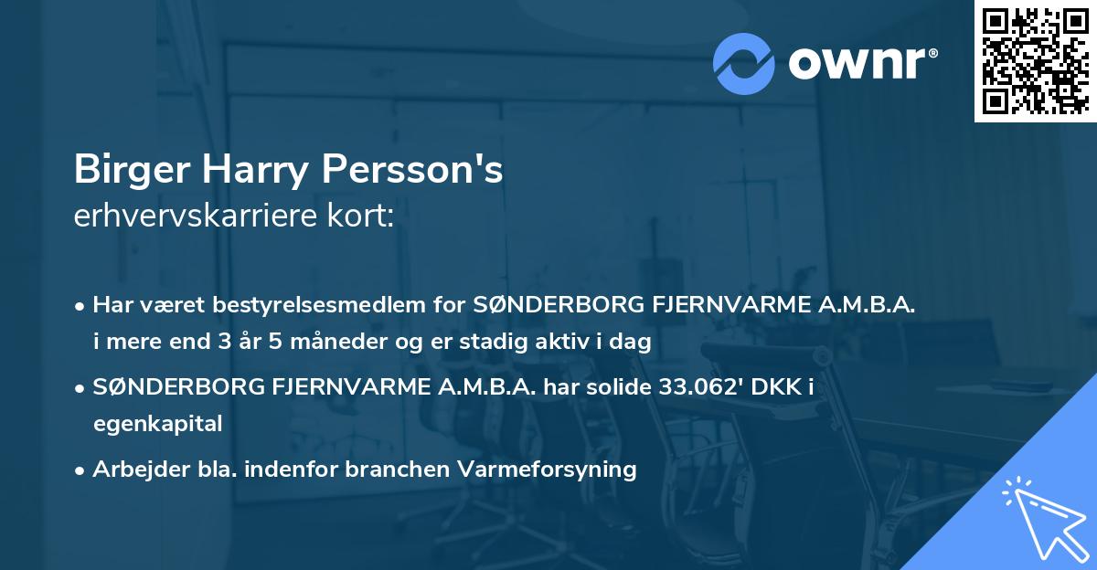 Birger Harry Persson's erhvervskarriere kort