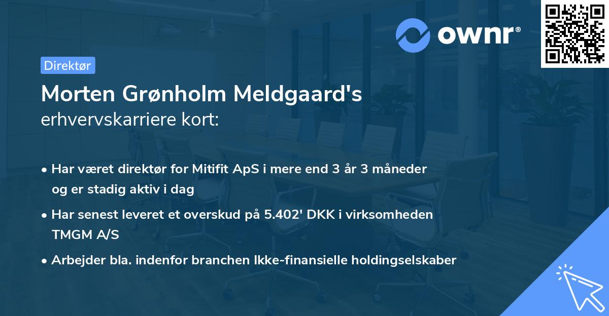 Morten Grønholm Meldgaard's erhvervskarriere kort
