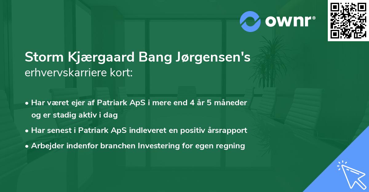 Storm Kjærgaard Bang Jørgensen's erhvervskarriere kort