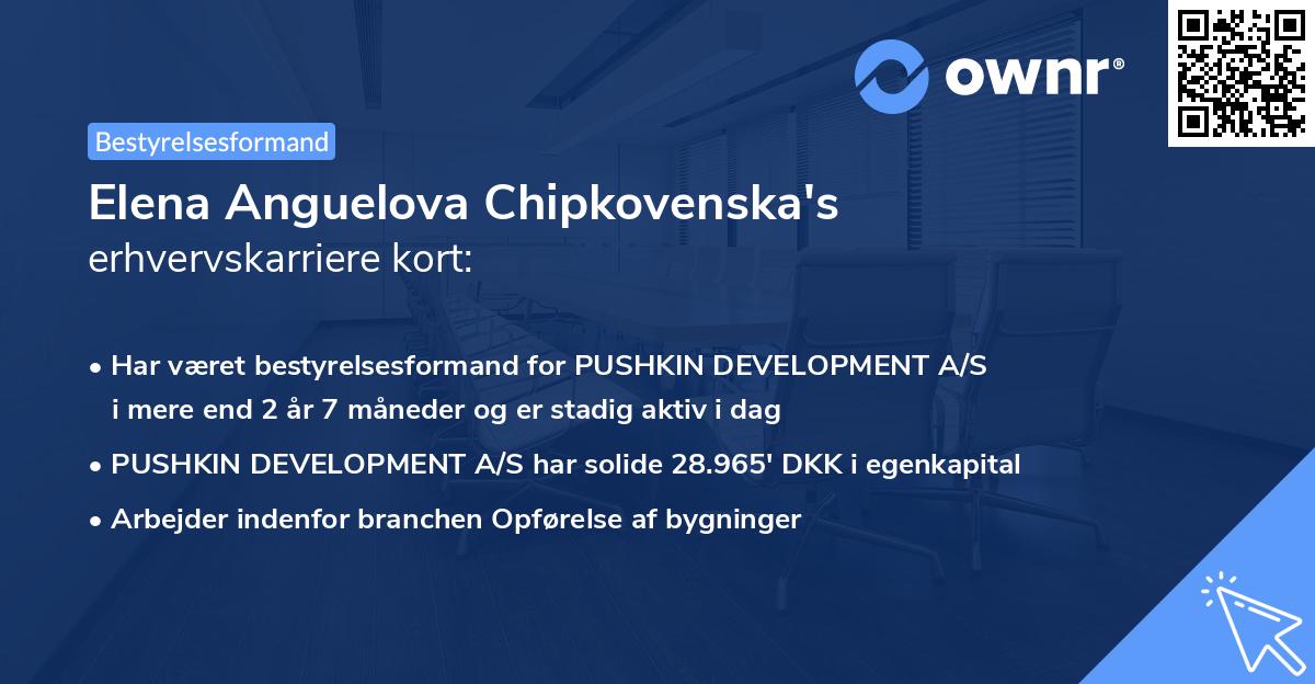 Elena Anguelova Chipkovenska's erhvervskarriere kort