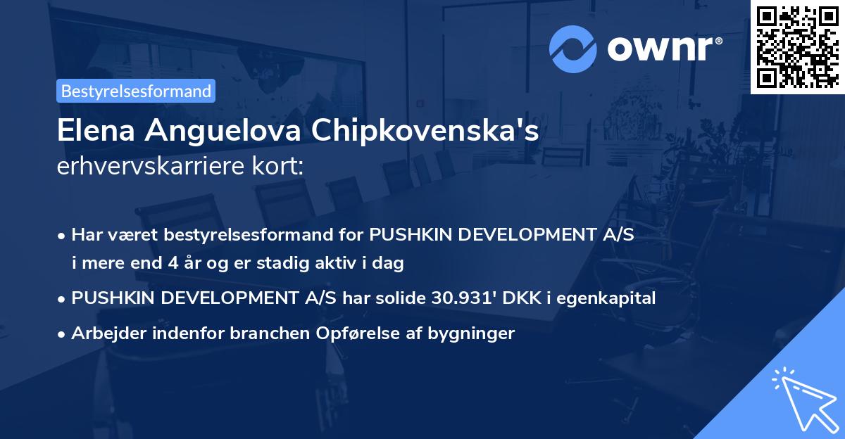 Elena Anguelova Chipkovenska's erhvervskarriere kort