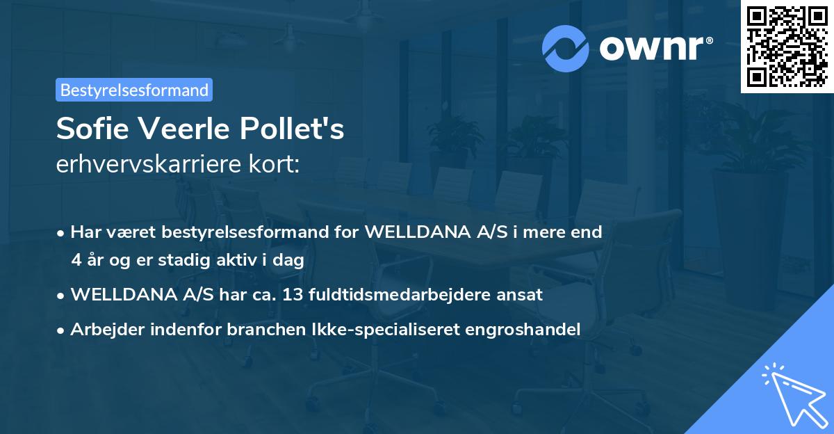 Sofie Veerle Pollet's erhvervskarriere kort