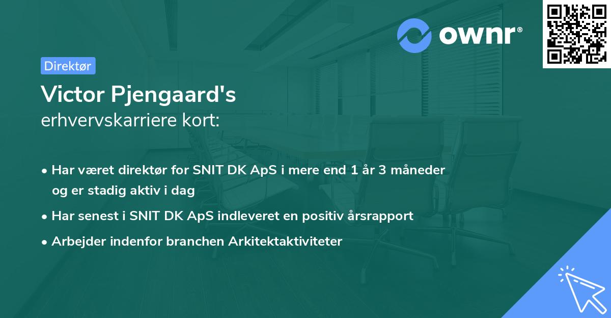 Victor Pjengaard's erhvervskarriere kort